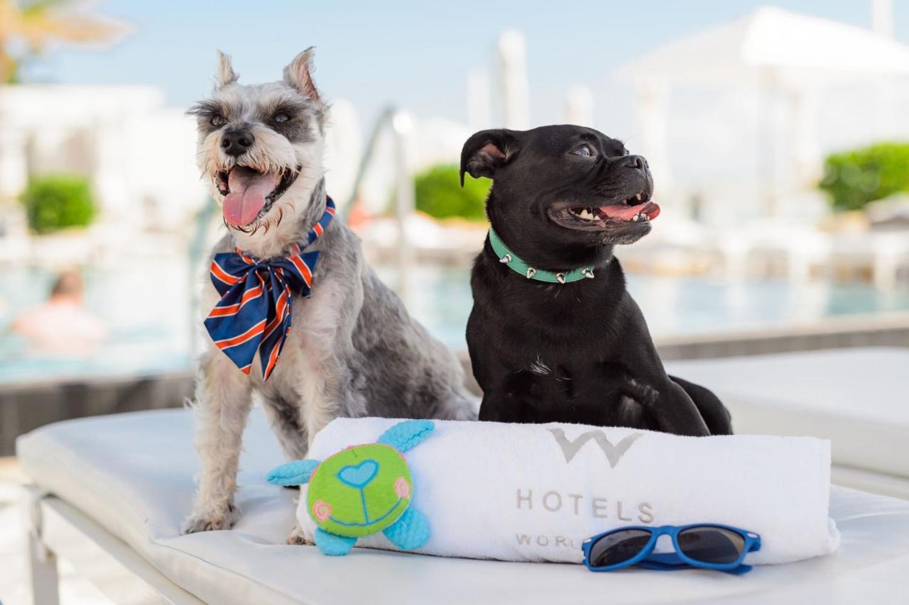 W Fort Lauderdale Zewnętrze zdjęcie